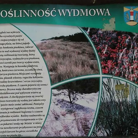 Üdülőpark Oaza Lubiatowo Lubiatowo
