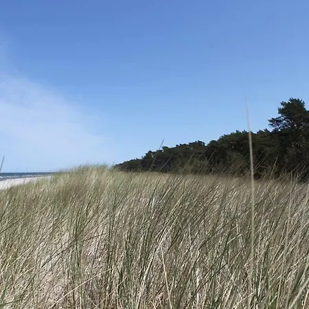 Oaza Lubiatowo Lubiatowo (Pomerania)