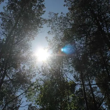 Üdülőpark Oaza Lubiatowo Lubiatowo